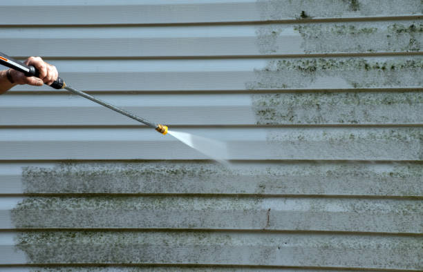 Best Roof Washing  in Longbranch, WA